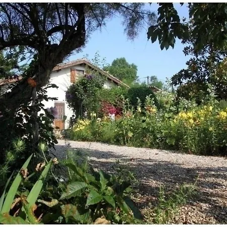 House Magna 1 - Batcrabere Holiday home Samatan