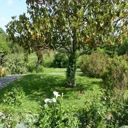 House Magna 1 - Batcrabere Holiday home